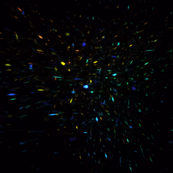 Fractical
