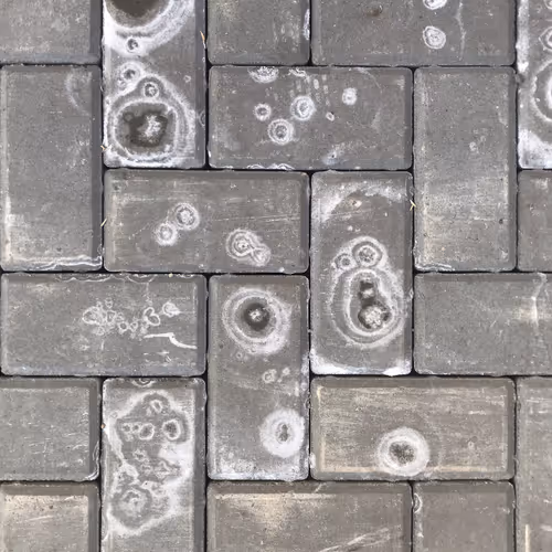 Item #46958899024090373232398737463413705293185688555081041498722300415481363824641 Media