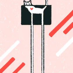 Cat in a Box #4