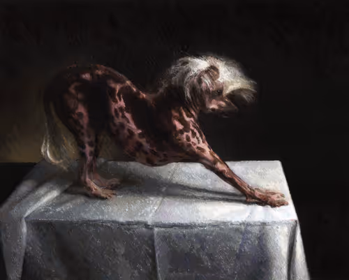 Item #105916924982024450048248879913512228699537662199339812964656268926401250328577 Media