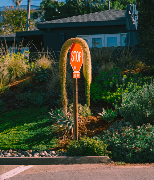 Item #38141354076463530561040962917951676198297601160396849426667128780207450750977 Media