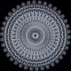 50367686488625809029713578217732297666109738085027278390782918490099103563777