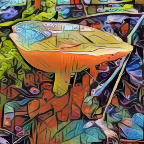Psychedelic Mushroom Kingdom