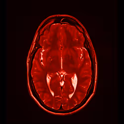 64162533542198579898252916190583583845604629893829087458582976512152110628865