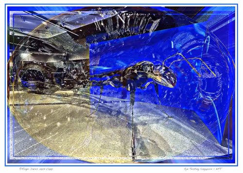 Item #113829610119937179277145653237989536661159515398728099625049874730433822851172 Media