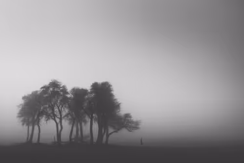 Item #108814857691029429230781820568210235490063919231059486623727012655275716902913 Media