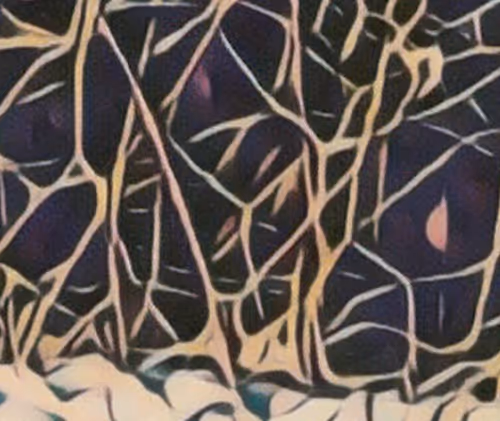 Item #33489201772139454524030938762040669258263543807464770779456338475484369125386 Media