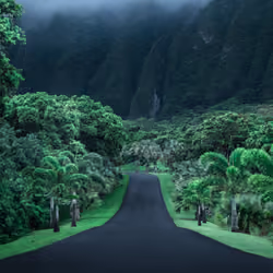 Cath Simard Free Hawaii