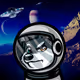 20706041900028525924528114389638605061712981447473448483516829950776168153089