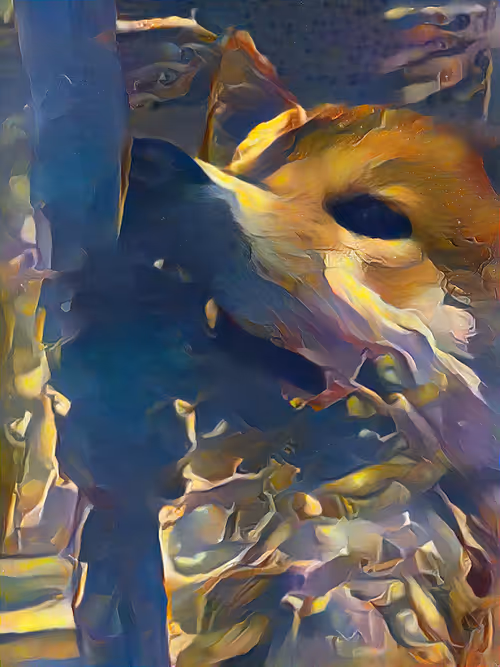 Item #48294251202362443440635964745477949159686229301689109113357186562139810168833 Media