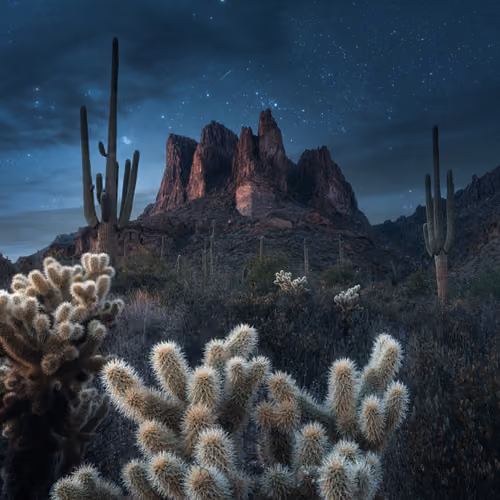 Superstitious Nights