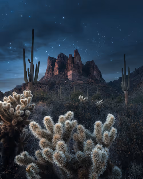 Item #104903103647378750346331157593817970478095546914968786711223283916381337157633 Media