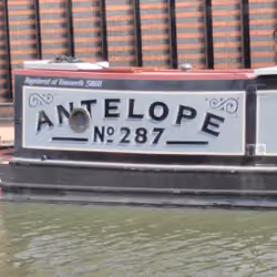 Antelope