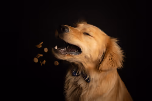 Item #3145360531430904933495942820931552338028161050553888084454697300198210666497 Media