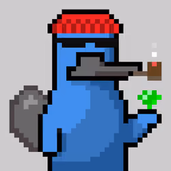 Platy Punk #537