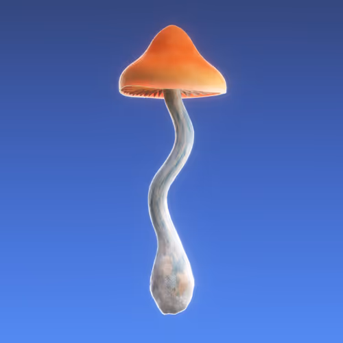 Item #95653877050150474555742155054455970472164202465768371638498213985479718600705 Media