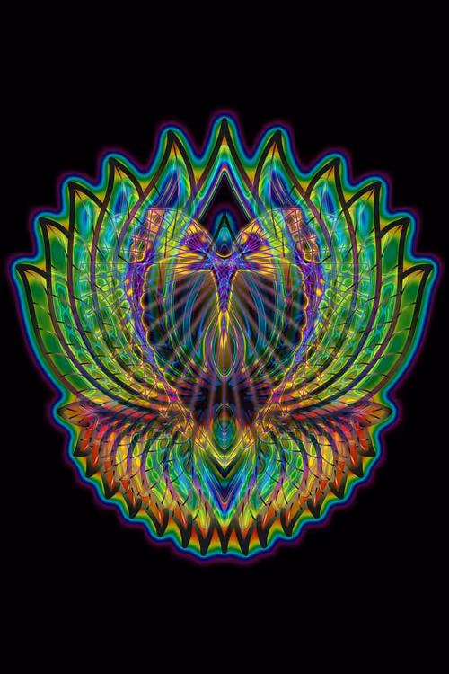 Item #60979459884181488878441332397836673675051601445568783240135866967618245099521 Media