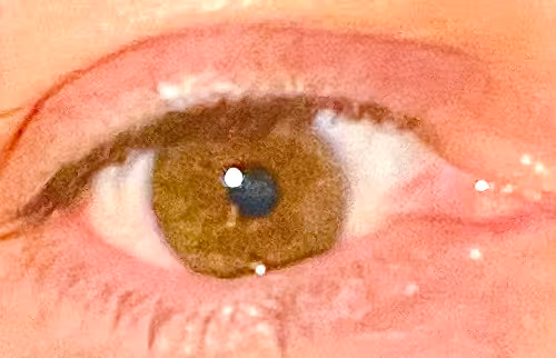 Cryptolebowski Collection