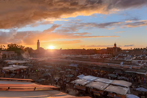 Item #31784539209812987338008238501801476985053436270199177464960010518051141189633 Media