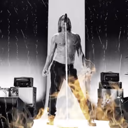 Iggy Pop x Iggy Pop x Iconography | No. 3