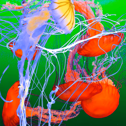 Item #43491420902550312144531220926816905712993913089726861711992935496582241976321 Media