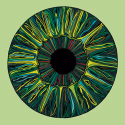 28824502245252267217549902857601847351510039266873569823091148405320481505281