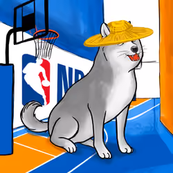 Doge #893
