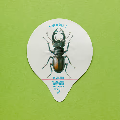 27065433399798513063572216385165001462181889982088416465869946537736941862913