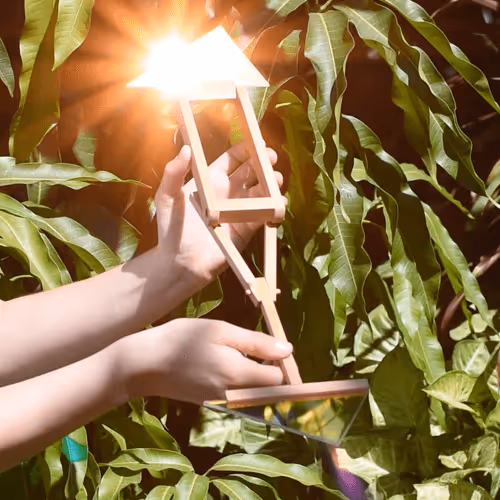 ClaraDeTezanos Collection