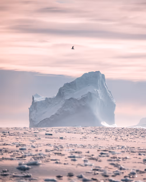 Item #59969087872528247593562305556961493003860374277083575615722774397210628980737 Media