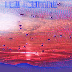 New Begnings