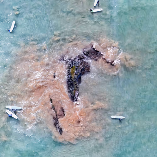 100600280271040798317723628260513137156606623100883316454227272212329151856641