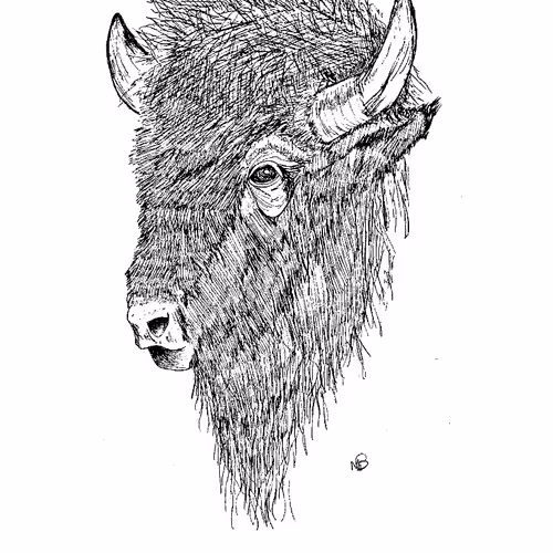 Charcoal interperations