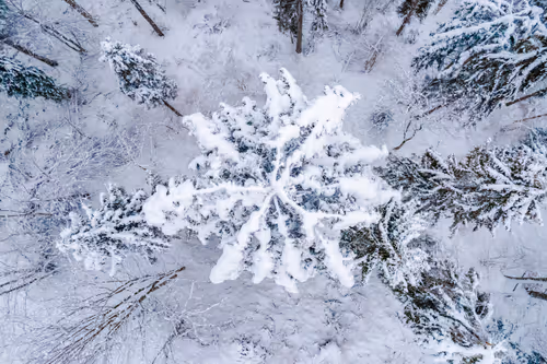 Item #65269379632311846935399782882204569097727852273357050594250130907926328508417 Media