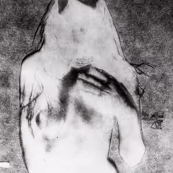 Teresa Ann Savoy #7