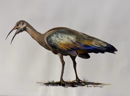 Item #4288309145407295523431116215122397111529594114986911850026632802450341363812 Media