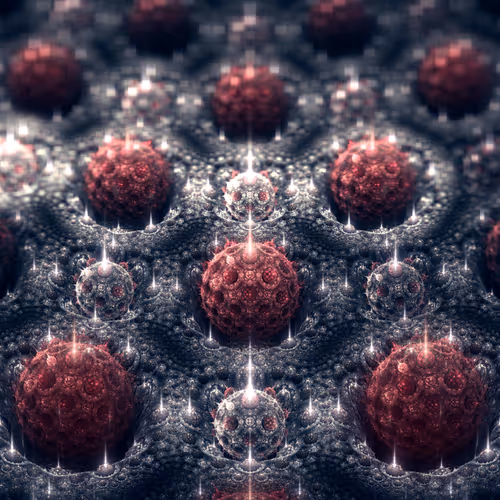 Algorithmic Pipedreams