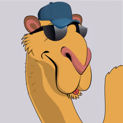 Cool Camels #0014