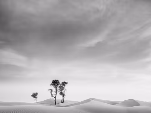 Item #108814857691029429230781820568210235490063919231059486623727012684962530852865 Media