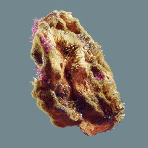 Item #29025029791859050124720480462956340608557292548544538512690378024807418560513 Media