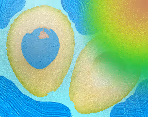 Item #83842155737933285357873813371510413453396247017039311211722984807075359490049 Media