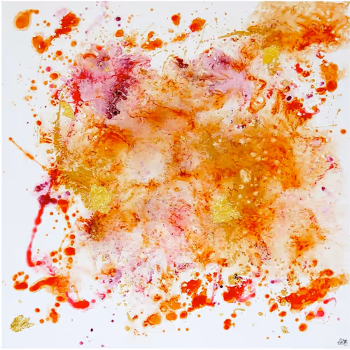 Item #93447121175524029400742595017936289586518260856263731890251566215536605921281 Media