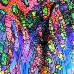 15788716269792817091517444034975324371579435356184901086933549768152285446145