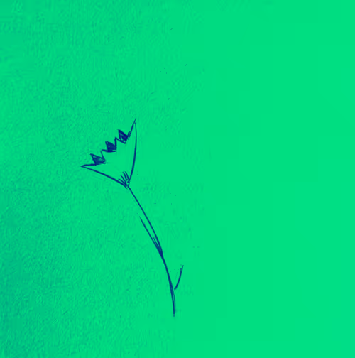 Item #93166365992060983708655465067155961665826407829242903253604474083260044935169 Media