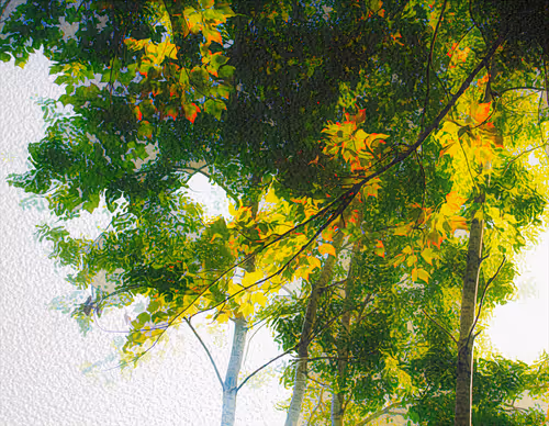 Item #52186198635424597728176025515183066148153471361030465447758552149999442984961 Media