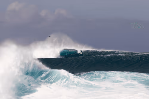 TheKingsLens: Thousand Waves Project