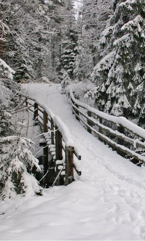 Item #26995902061274754589171932508183889662269510357141596457267559128292109844481 Media