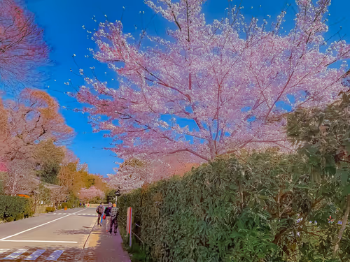 Item #26309083901545567454709889211670292098627789932924015051489478921792029458437 Media