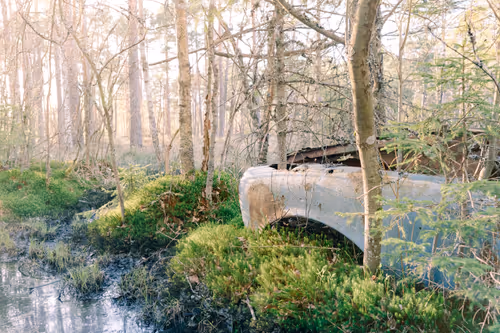 Item #48137969834760964202008615445069010109172114455099533143483873210325572517889 Media