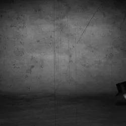 46566921537477374701015182313706543011563898987301871834970663347065246973953